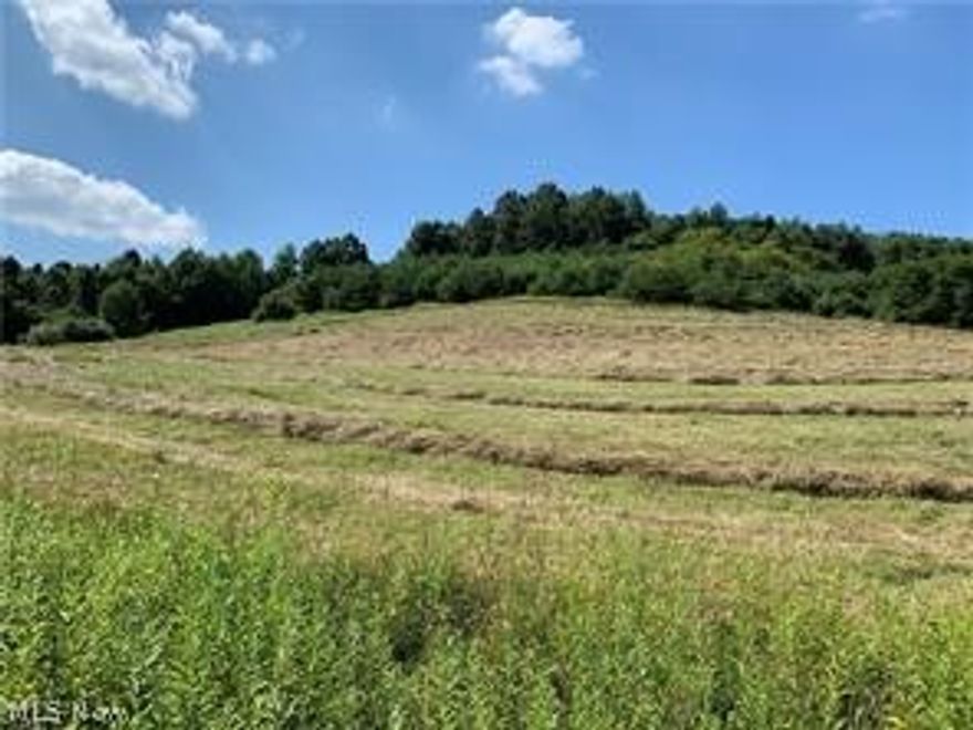 24.058 acres of rolling land in Northeastern Tuscarawas County/Tuscarawas Valley Local Schools which contains both cleared and wooded areas. The annual taxes are presently $565.90. The site consists of 3 parcels (8.595 acres, 7 acres, and, 8.463 acres) which could serve as your own private hunting ground, just a place to get away, or, as a potential building site. The opportunities are endless and the property is only a short ride to Dover, New Philadelphia, Bolivar, Canton, and Carrollton. Current owner's portion of the mineral rights will convey.