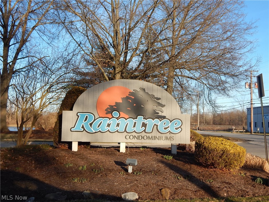 Raintree Condo - Residential