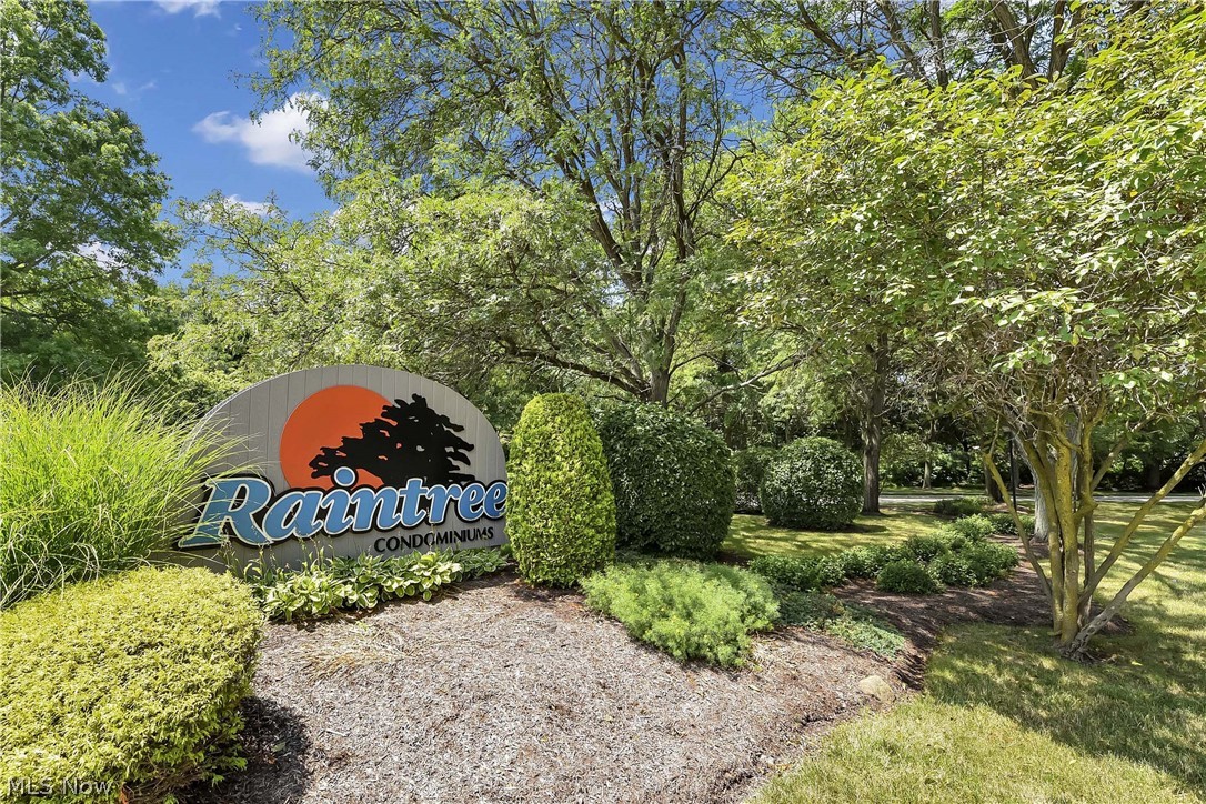Raintree Condo - Residential