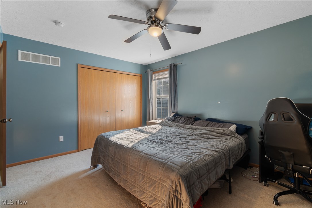 Avondale Allotment - Residential