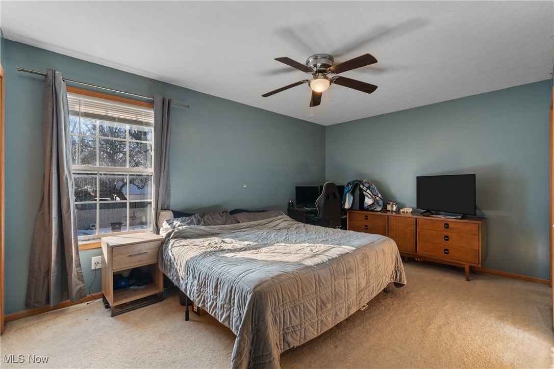 Avondale Allotment - Residential