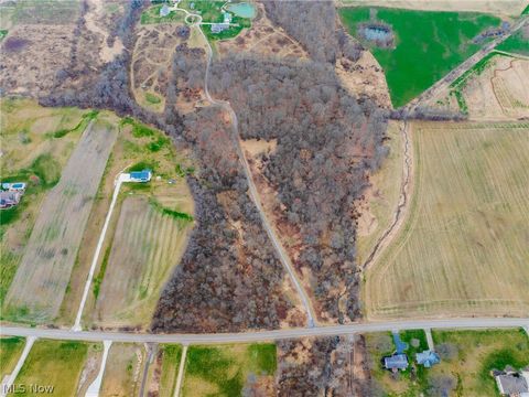 Vacant Land For Sale - Pigeon Run Avenue<br/> Stark County, Navarre, OH 44662