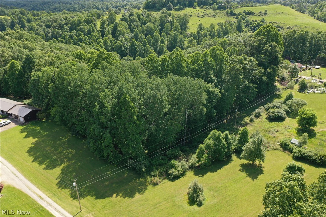 0001 Blackberry Lane, Grantsville, West Virginia image 4