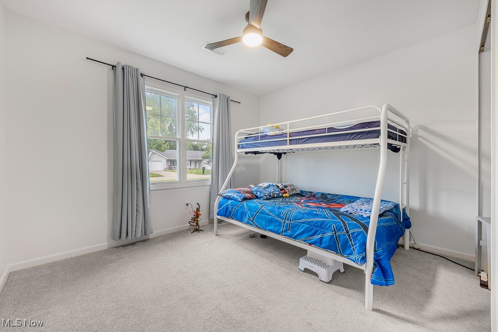 110 Parkside Drive, Creston, Ohio image 28