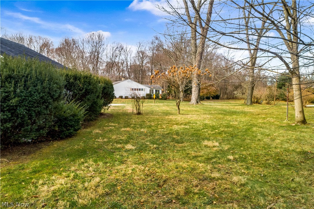 Tallwood Allotment - Residential