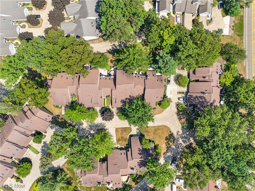 Forest Cove Condo Ph 3 - Residential