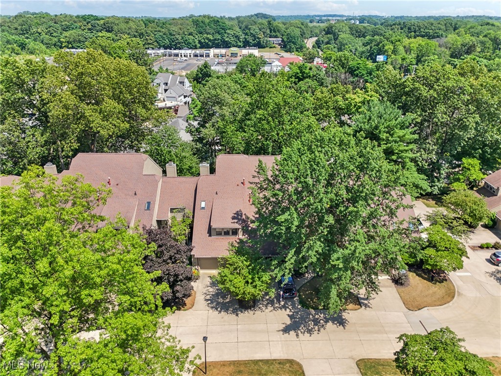 Forest Cove Condo Ph 3 - Residential