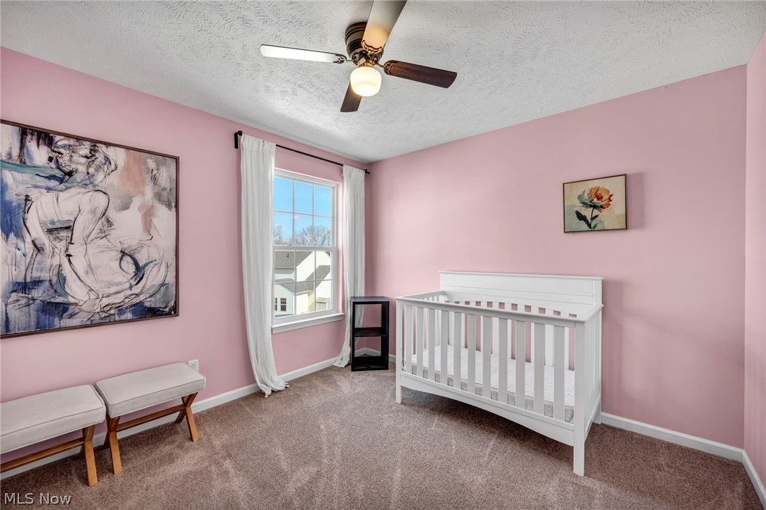 Bird Street Park - Residential