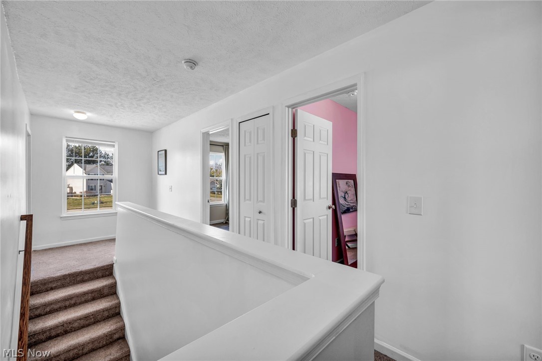 Bird Street Park - Residential