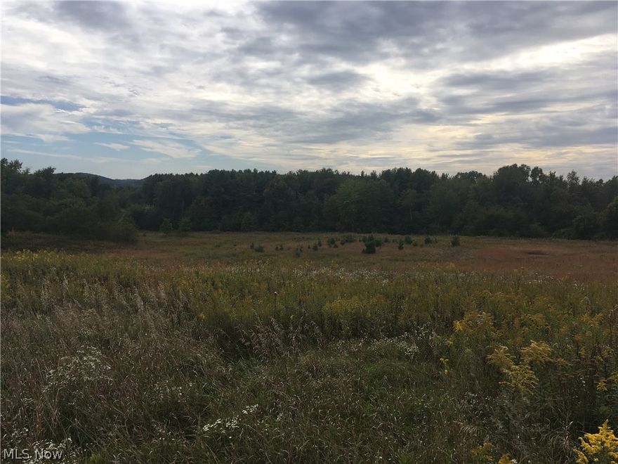 Public water and sewer possible.  37 acres +/-  ( subject to survey ).   Wooded vacant land with driveway leading to private setting.   Property has small pond.
50% mineral rights transfer to buyer.  402' frontage on St Rt 183.