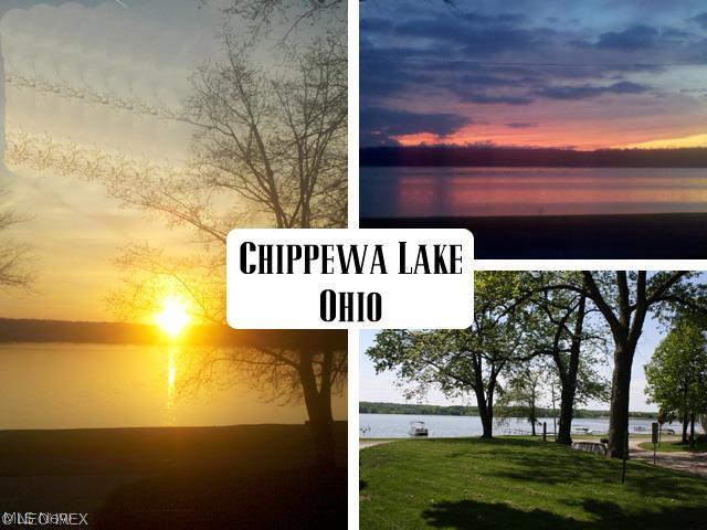 Chippewa Lake - Land