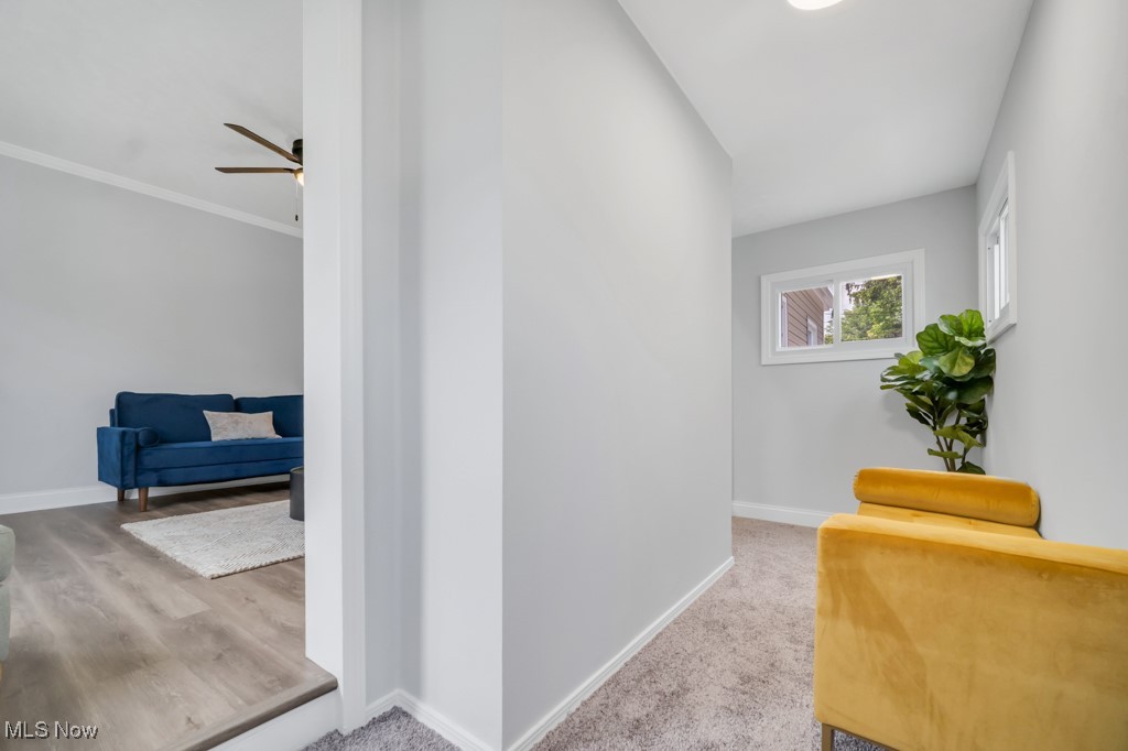 Cedar Heights Land Co Allotmen - Residential