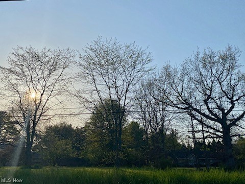 Vonda Kerr #1 - Land