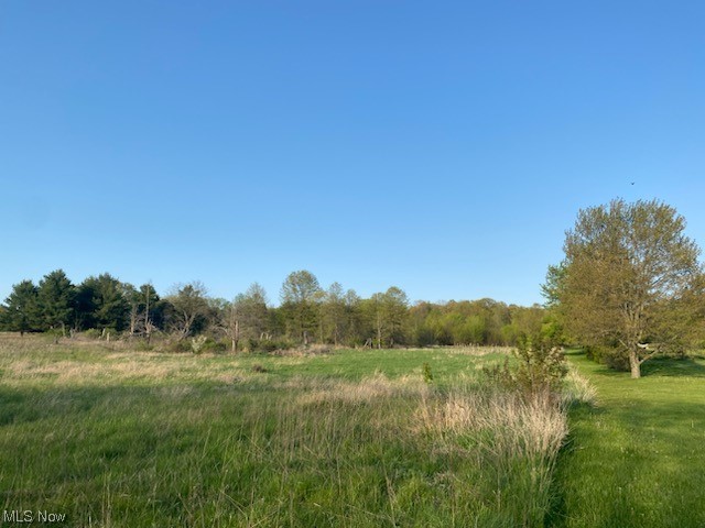 Vonda Kerr #1 - Land