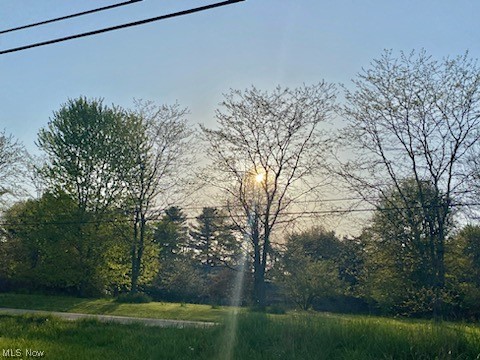 Vonda Kerr #1 - Land