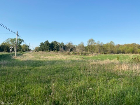 Vonda Kerr #1 - Land