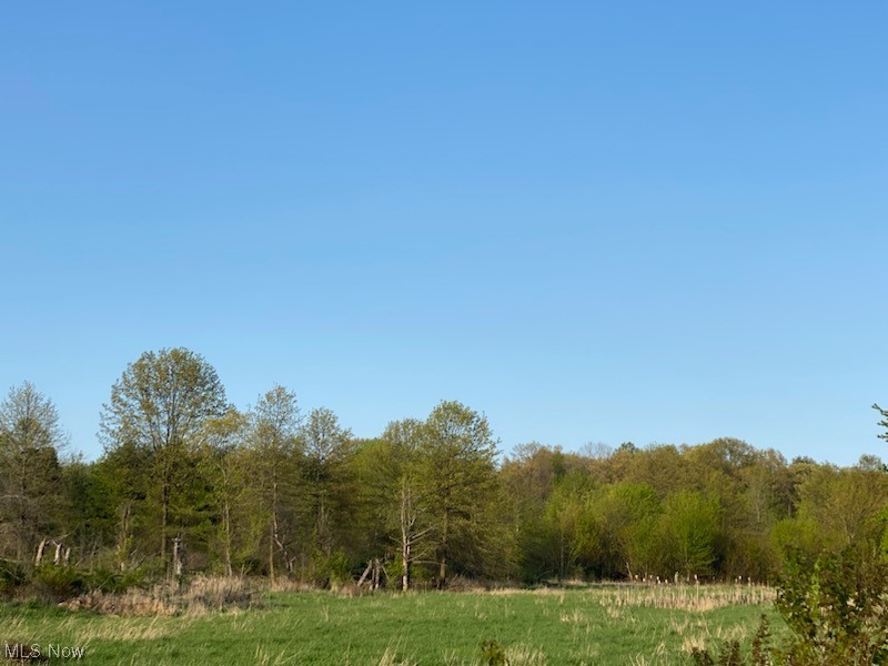 Vonda Kerr #1 - Land