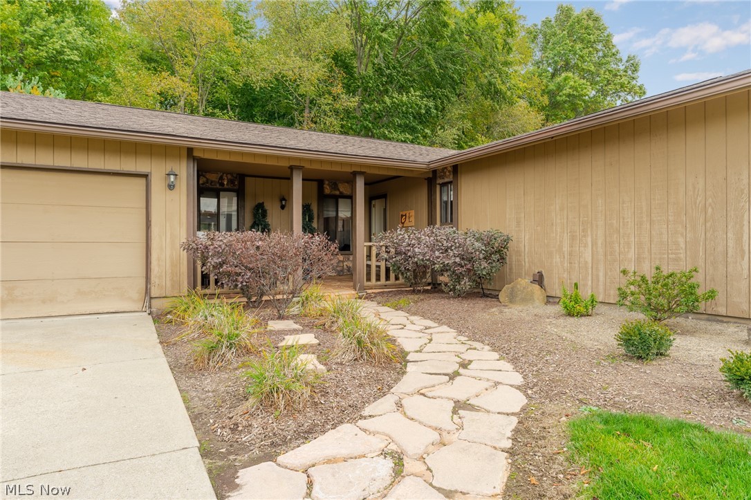 Angiline - Residential