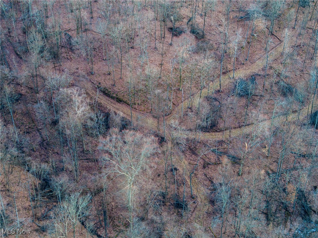 3500 Dixon Ridge, Macksburg, Ohio image 33