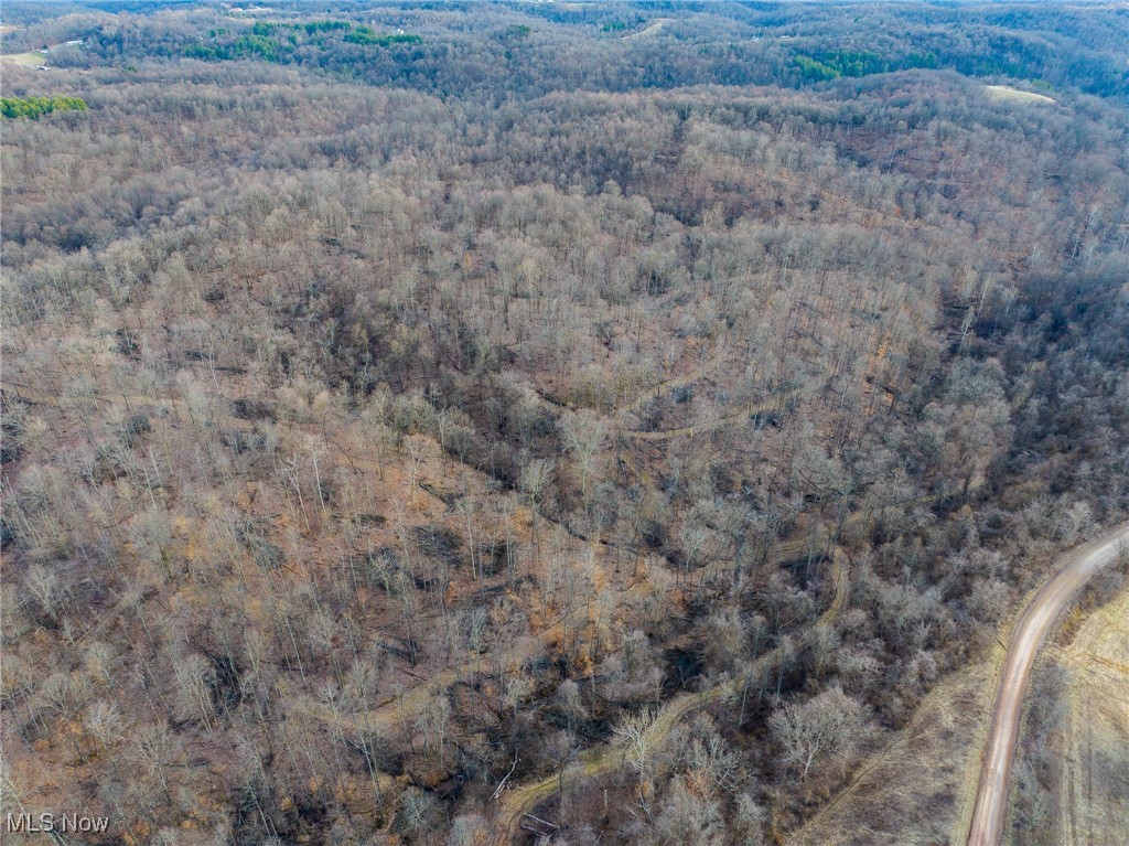 3500 Dixon Ridge, Macksburg, Ohio image 36