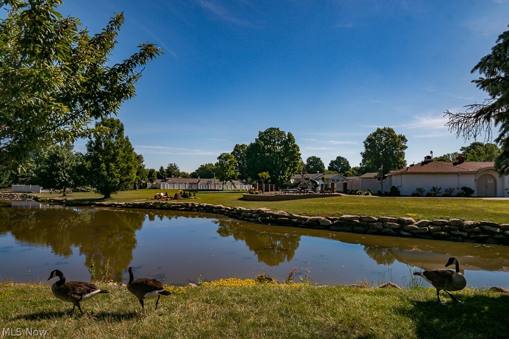 Meadowlawn Condo - Residential