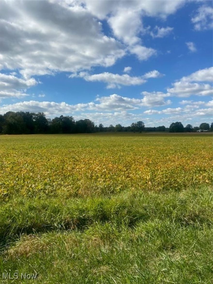 Live Absolute Auction!!! NOTE: The list price does not reflect the sale price or list price.  Offering 32.91 acres of vacant land with approximately 31.29 acres tillable.  Property fronts Worth Rd. (954') and Warwick Rd. (1,400').  Soils consist of Melvin (16.8 acres), Luray Silt (5.4 acres), Euclid (4.3 acres), Sebring (2.7 acres), Glenford (1.9 acres), Glenford silt (1.9 acres).  There currently is a standing crop of soybeans growing which the grower will have the right to harvest in 2026.  The property lies mostly in a 100-year flood plain and is situated in a zoned twp.  Taxes are $636 annually and will be prorated at closing.  The property is Located at Warwick Rd, Marshallville, OH. (NOTE) The Sale will be held at 15456 Warwick Rd, Marshallville, OH just east of the property being auctioned. 
Terms and conditions: 10% down non-refundable deposit the day of the sale with the balance due at closing in 30 days or less.  Property is being auctioned in its "As Is" condition, with all faults.  No contingencies to include finance contingencies.  All desired inspections must be completed prior to the auction date.  *For other terms please call the Auctioneer.