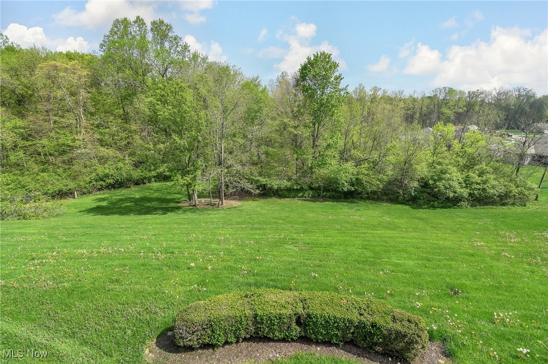 1000 Cedar Creek Cove, Mansfield, Ohio image 22