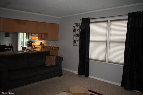 South Hills Village - Residential