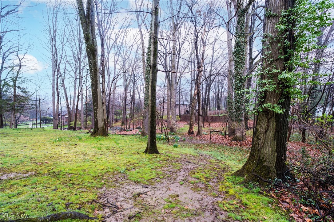 2332 Shawnee Trail, Youngstown, Ohio image 41