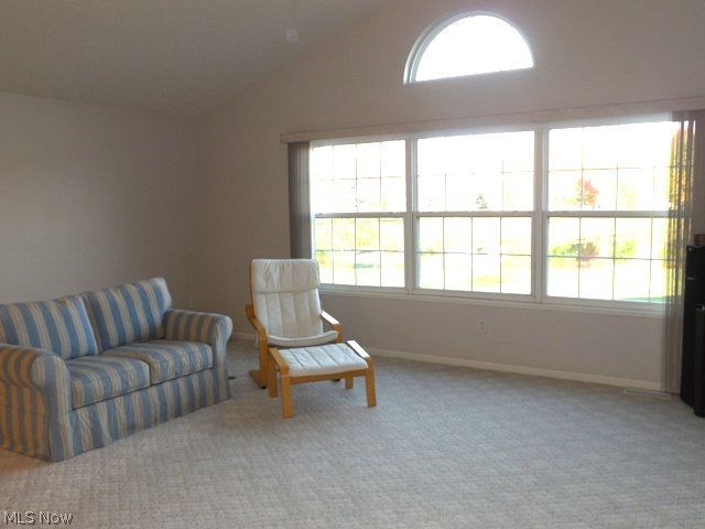 Falls Point - Residential