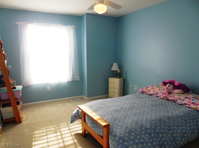 Falls Point - Residential