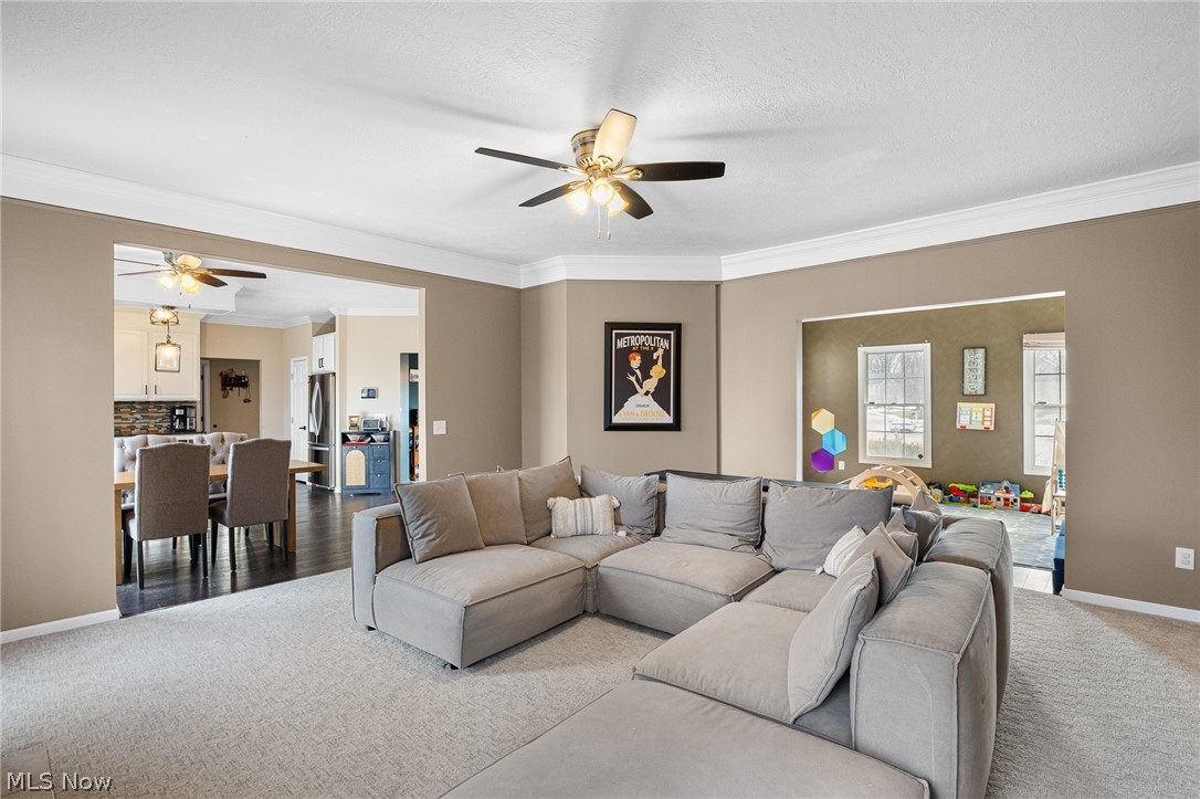 12471 Saddle Horn Circle