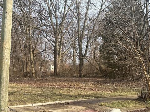 Tiny photo for Washburn Street, Akron, OH 44307 (MLS # 5187960)