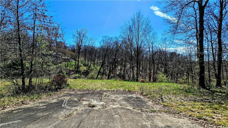 If you are looking for land to build your new home, this is the property for you!  This 1.97 acres is located in Devola and just minutes from downtown Marietta, OH and I-77.   Water, gas, electric, and high speed internet are available but a septic system would need to be installed.  There is a section of the property partially cleared with an existing driveway.  Bring your blueprints and make building your dream home a reality!