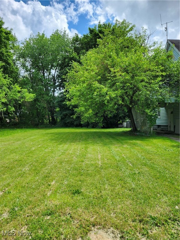 153 W Warren Avenue, Youngstown, Ohio image 13