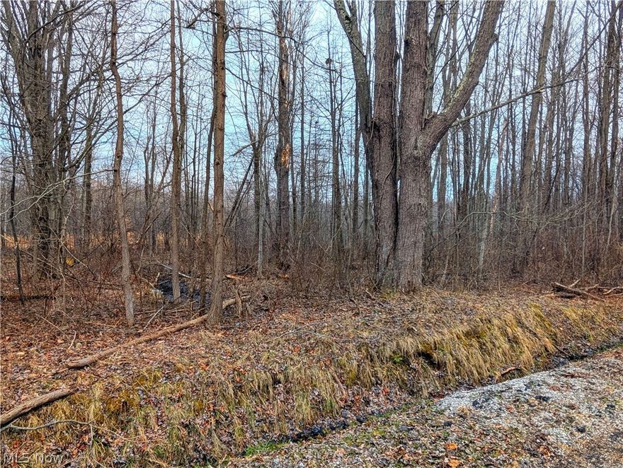 Great opportunity for a residential build! Three wooded lots (.1561 acres each) or .47 acre total, on beautiful
Magnolia Drive in Madison Township. Individual lots are 40'x170'. Paved road with existing houses on north side of the
street. $25,000 includes timber value. City water and sewer at the end of the street on Hubbard Road. Current homes
have septic and well. Lots are on existing paved street. 1/2 mile from Lake Erie, Madison Township Park, restaurants and
Vincent William Winery. Lots are three separate parcels, .46 acres each. Seller will combine parcels into one larger lot at
closing. Buyer is responsible for any approvals.