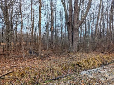 Vacant Land For Sale - Magnolia Drive #6<br/> Lake County, Madison, OH 44057