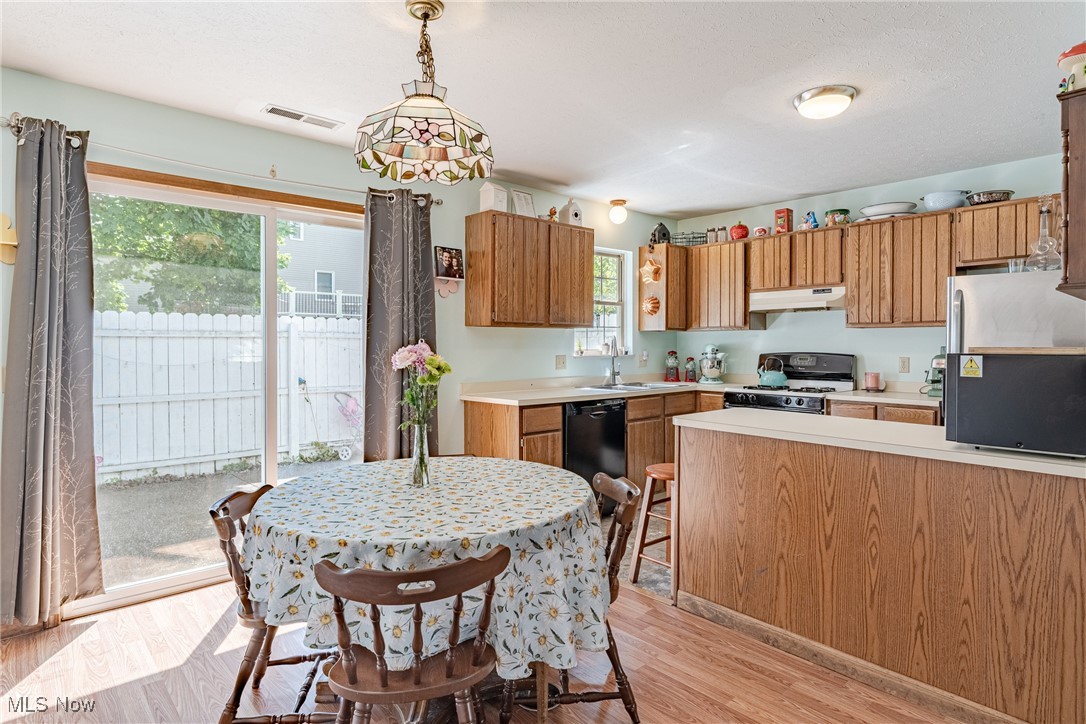 6688 Connecticut Colony Circle, Mentor, Ohio image 9
