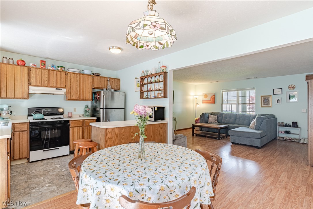 6688 Connecticut Colony Circle, Mentor, Ohio image 7