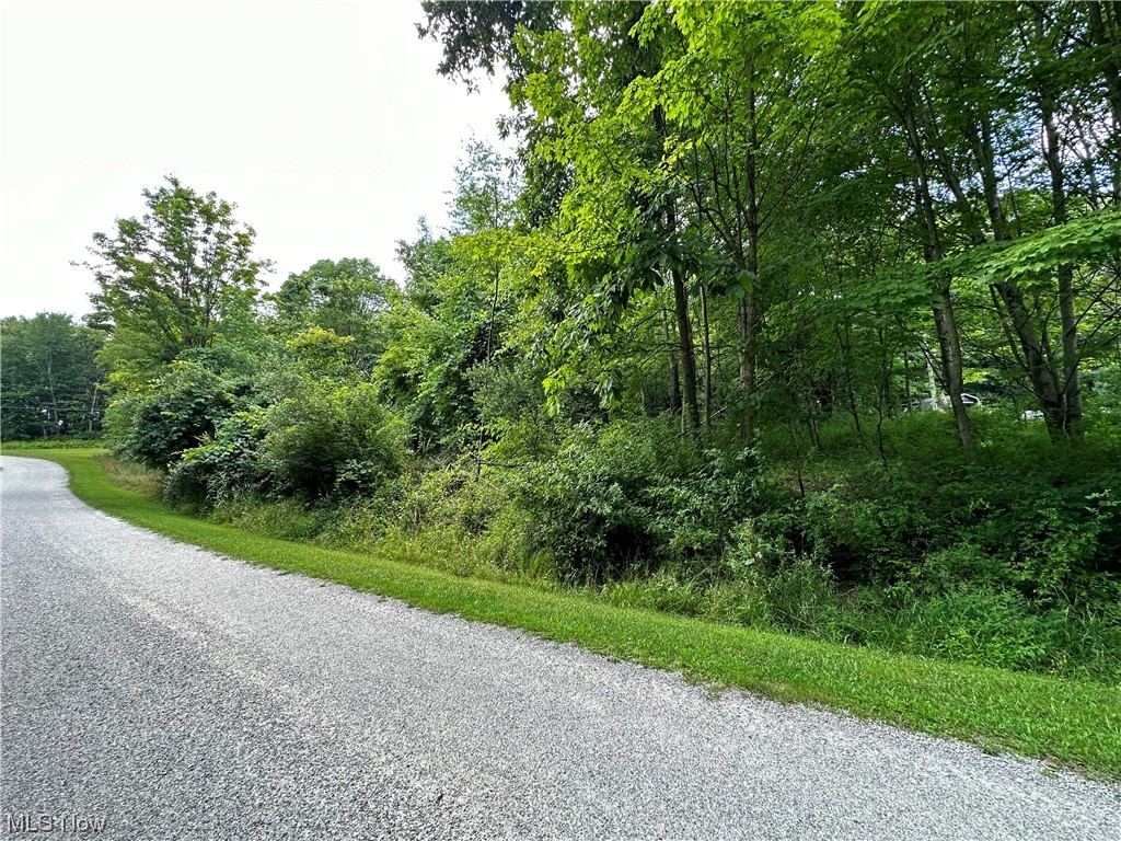 2 Nice Lots; 1 building site on the quiet circle. Corner lots with a nice, comfortable slope to them. There are very nice homes in this area of Lake Buckhorn. VERY Quiet and Very Nicely Wooded. .The Geneva circle area is quite a quiet portion of the Lake Buckhorn community.
Lake Buckhorn is a Private, Residential, Recreational Community spanning 1,120 Acres built around a 220-acre Man-Made lake, the Fun in the Sun Amenities includes Boating, Skiing, Fishing Ponds, Multiple Swimming & Beach Areas, Children's Playgrounds, Basketball, Tennis & Pickle Ball.
There are 6 Covered Pavilions with Tables and Grills, Docks, and Boat-Launching areas. The community also offers the Lakeview Hall, complete with a Full Kitchen, Restrooms, Large Deck overlooking the Lake, and a Large Area for Social Events. Lake Buckhorn has over 350 homes and approximately 550 private members ranging from year-round residents, to "snowbirds", to vacation homeowners to lot owners. Now is your chance to join this exclusive community and build your dream lake home today! Lake Buckhorn is a Private Lake community with a pristine 2-mile long lake and a rolling, heavily wooded area of lovely Holmes County.country.