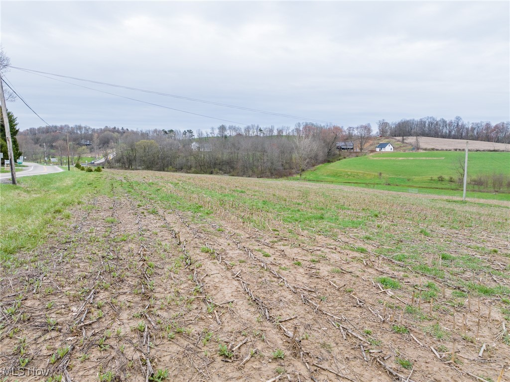 7988 Oh-516, Dundee, Ohio image 9