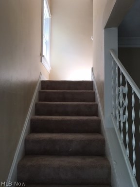 Nela Overlook - Residential Lease