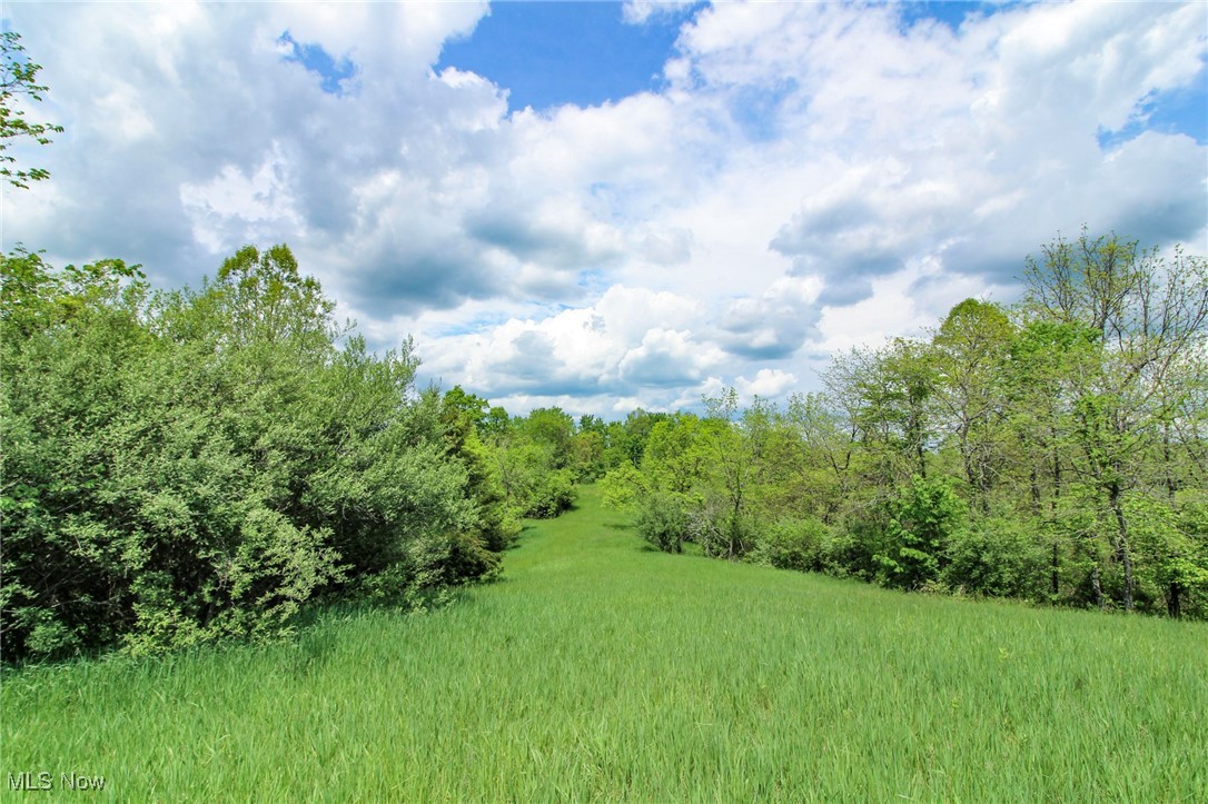 14300 Coolville Ridge Road, Athens, Ohio image 37