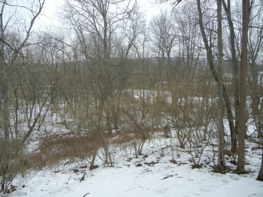Larry P Kauffman Allotment #1 - Residential