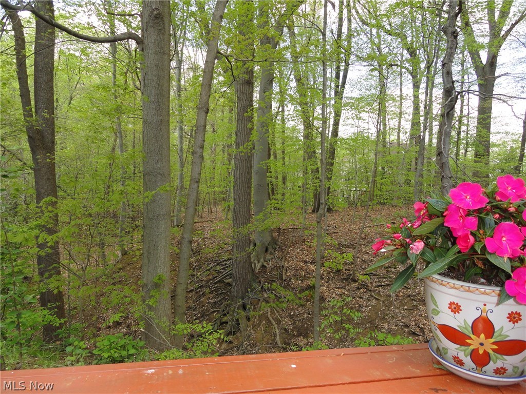 Hampton Woods - Residential
