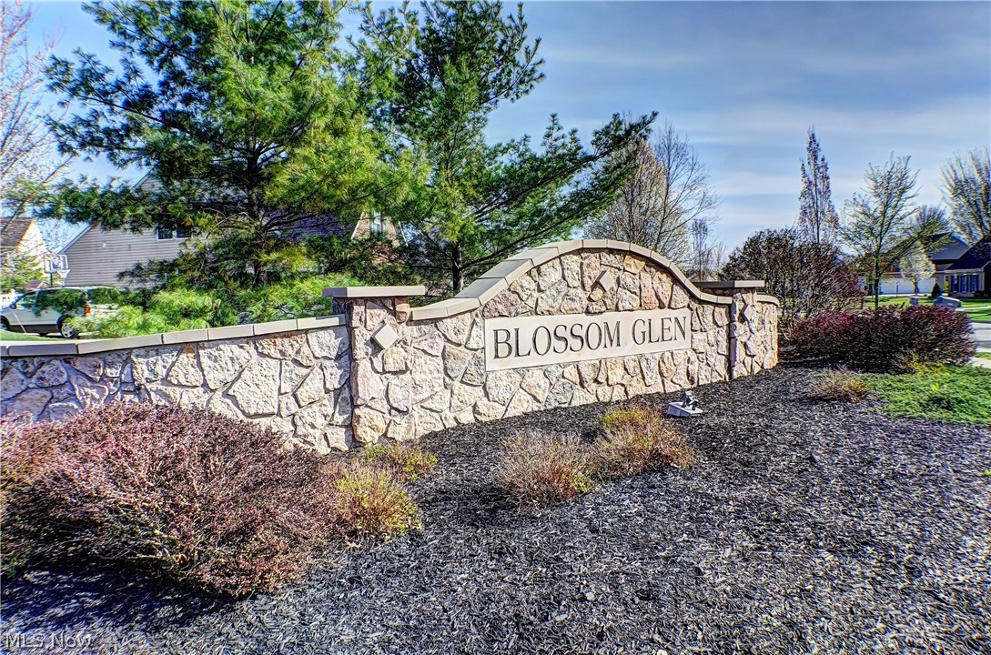 Blossom Glen - Residential