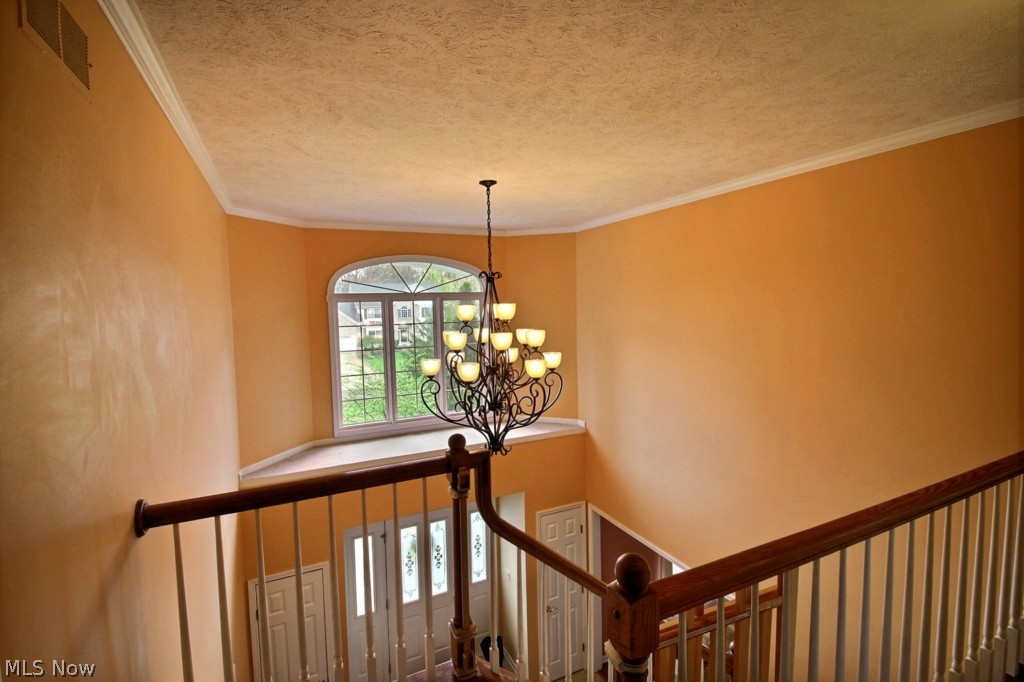 Timber Trails - Residential