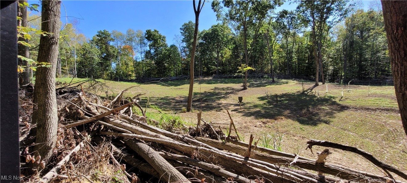 Gilmore Road, Gnadenhutten, Ohio image 6