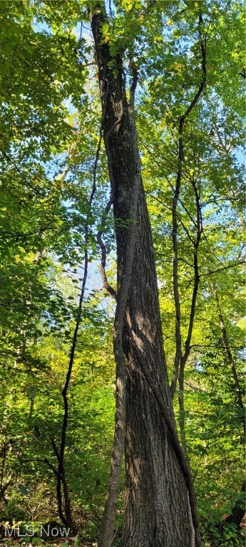 Gilmore Road, Gnadenhutten, Ohio image 41