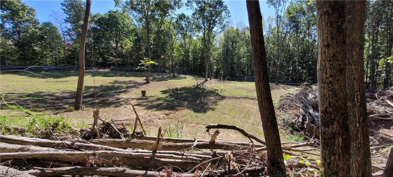 Gilmore Road, Gnadenhutten, Ohio image 7